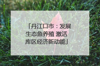 丹江口市：发展生态鱼养殖 激活库区经济新动能