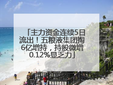主力资金连续5日流出！五粮液集团掏6亿增持，持股微增0.12%显乏力