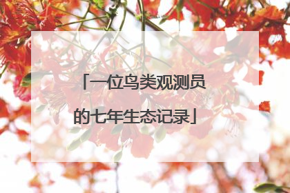 一位鸟类观测员的七年生态记录