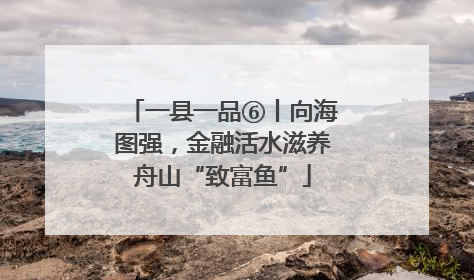 一县一品⑥丨向海图强，金融活水滋养舟山“致富鱼”