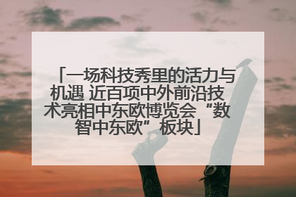 一场科技秀里的活力与机遇 近百项中外前沿技术亮相中东欧博览会“数智中东欧”板块