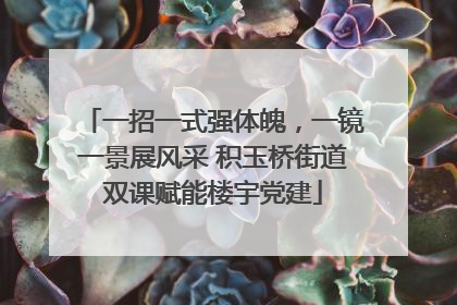 一招一式强体魄，一镜一景展风采 积玉桥街道双课赋能楼宇党建