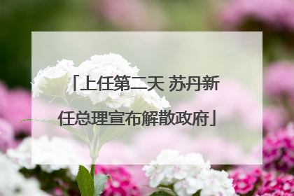 上任第二天 苏丹新任总理宣布解散政府
