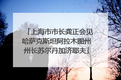 上海市市长龚正会见哈萨克斯坦阿拉木图州州长苏尔丹加济耶夫