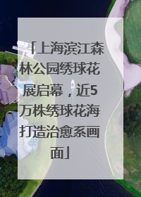 上海滨江森林公园绣球花展启幕，近5万株绣球花海打造治愈系画面