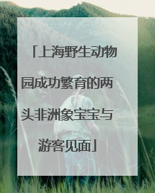 上海野生动物园成功繁育的两头非洲象宝宝与游客见面
