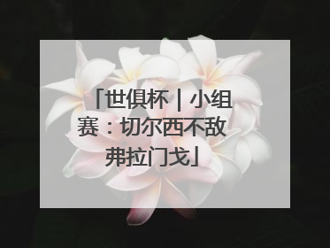 世俱杯｜小组赛：切尔西不敌弗拉门戈