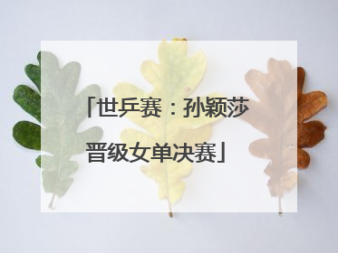 世乒赛：孙颖莎晋级女单决赛