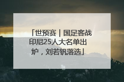 世预赛｜国足客战印尼25人大名单出炉，刘若钒落选