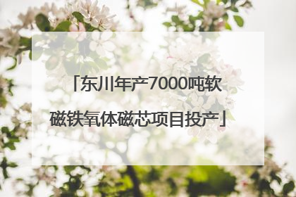 东川年产7000吨软磁铁氧体磁芯项目投产