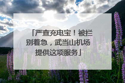 严查充电宝！被拦别着急，武当山机场提供这项服务