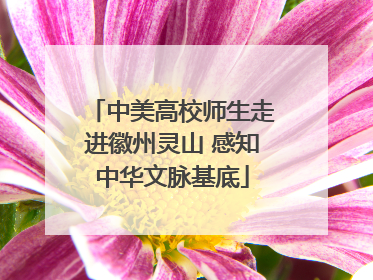 中美高校师生走进徽州灵山 感知中华文脉基底