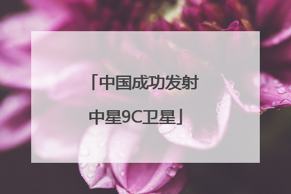 中国成功发射中星9C卫星