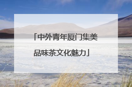 中外青年厦门集美品味茶文化魅力