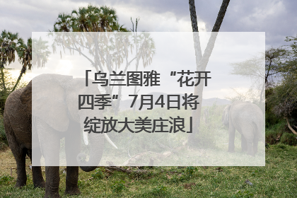 乌兰图雅“花开四季”7月4日将绽放大美庄浪