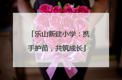 乐山新建小学：携手护苗，共筑成长