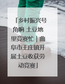 乡村振兴号角响 土豆地里竞赛忙｜曲阜市王庄镇开展土豆收获劳动竞赛