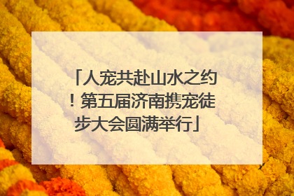 人宠共赴山水之约！第五届济南携宠徒步大会圆满举行