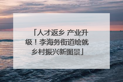 人才返乡 产业升级！李海务街道绘就乡村振兴新图景