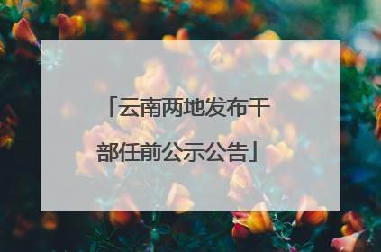 云南两地发布干部任前公示公告