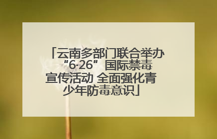 云南多部门联合举办“6·26”国际禁毒宣传活动 全面强化青少年防毒意识