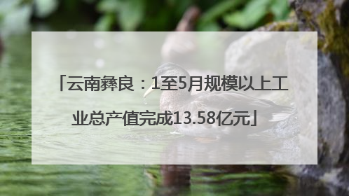 云南彝良：1至5月规模以上工业总产值完成13.58亿元