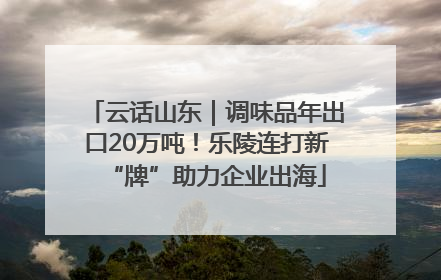 云话山东｜调味品年出口20万吨！乐陵连打新“牌”助力企业出海