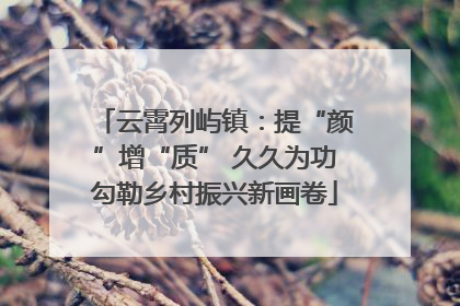 云霄列屿镇：提“颜”增“质” 久久为功勾勒乡村振兴新画卷