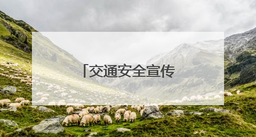 交通安全宣传进农村 让群众把平安带回家