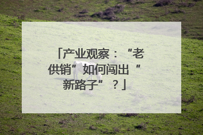 产业观察：“老供销”如何闯出“新路子”？