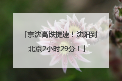 京沈高铁提速！沈阳到北京2小时29分！