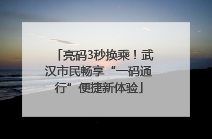 亮码3秒换乘！武汉市民畅享“一码通行”便捷新体验