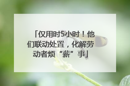 仅用时5小时！他们联动处置，化解劳动者烦“薪”事