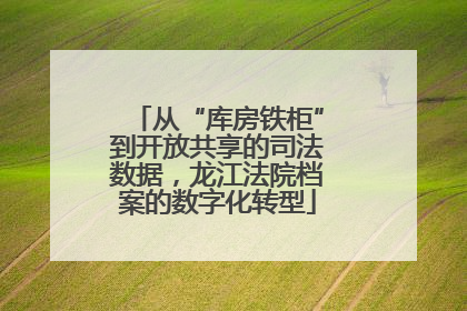 从“库房铁柜”到开放共享的司法数据，龙江法院档案的数字化转型