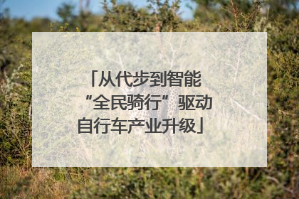 从代步到智能 “全民骑行”驱动自行车产业升级