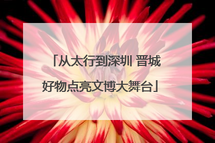 从太行到深圳 晋城好物点亮文博大舞台