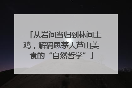 从岩间当归到林间土鸡，解码思茅大芦山美食的“自然哲学”