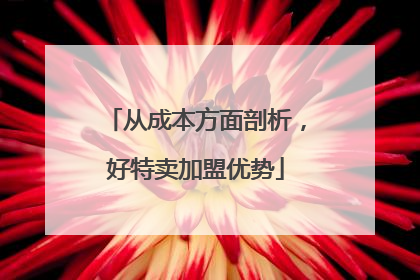 从成本方面剖析，好特卖加盟优势
