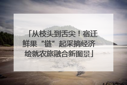 从枝头到舌尖！宿迁鲜果“链”起采摘经济绘就农旅融合新图景