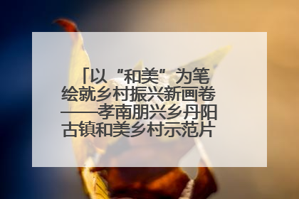 以“和美”为笔 绘就乡村振兴新画卷——孝南朋兴乡丹阳古镇和美乡村示范片区建设综述