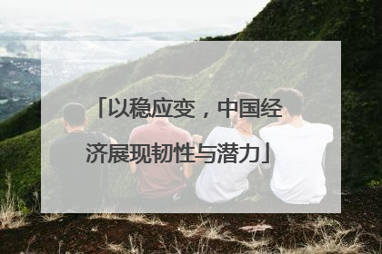 以稳应变，中国经济展现韧性与潜力
