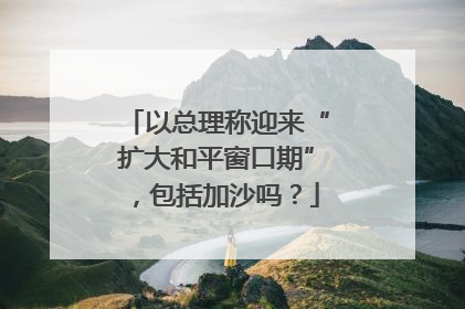 以总理称迎来“扩大和平窗口期”，包括加沙吗？