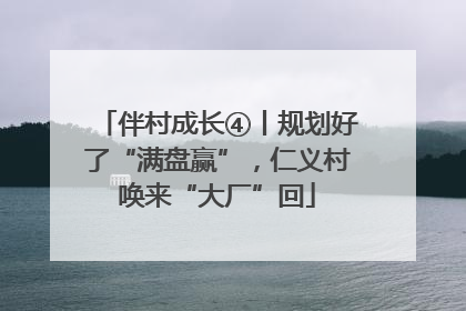 伴村成长④丨规划好了“满盘赢”，仁义村唤来“大厂”回