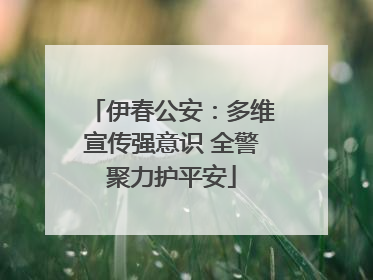 伊春公安：多维宣传强意识 全警聚力护平安