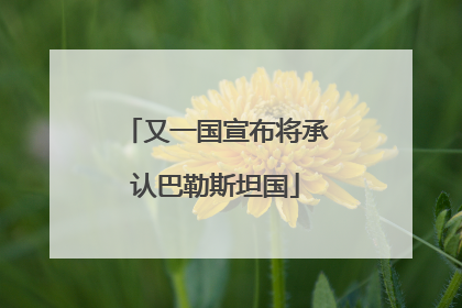 又一国宣布将承认巴勒斯坦国