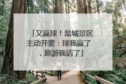 又赢球！盐城景区主动开麦：球我赢了，旅游我请了