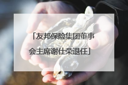 友邦保险集团董事会主席谢仕荣退任