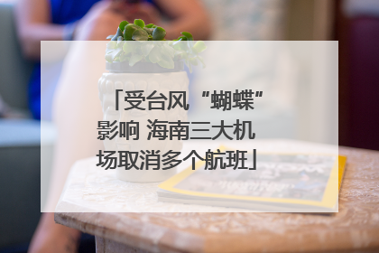 受台风“蝴蝶”影响 海南三大机场取消多个航班