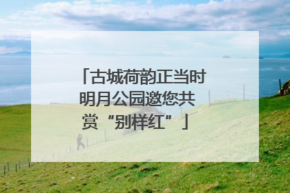古城荷韵正当时 明月公园邀您共赏“别样红”