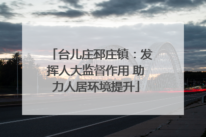 台儿庄邳庄镇：发挥人大监督作用 助力人居环境提升